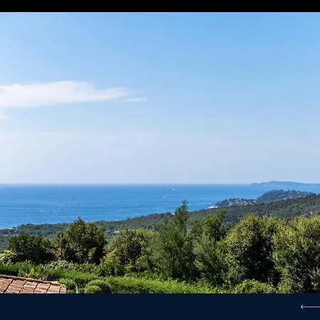 Les Agrumes Vue Panoramique Sur *