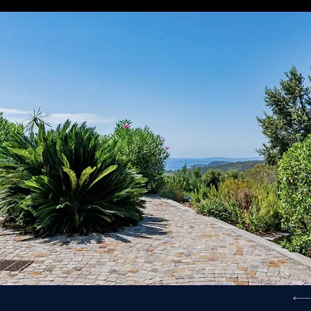Les Agrumes Vue Panoramique Sur La Croix-Valmer